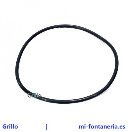 Junta Torica Filtro Piscina AstralPool 4404180201