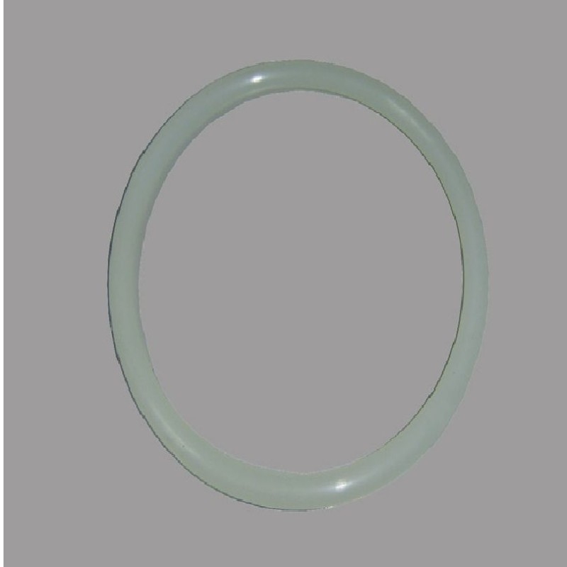 Junta Silicona Tapa Filtro AstralPool 4404020111