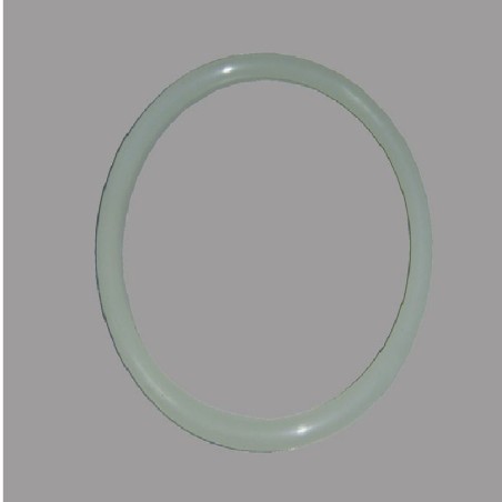 Junta Silicona Tapa Filtro AstralPool 4404020111